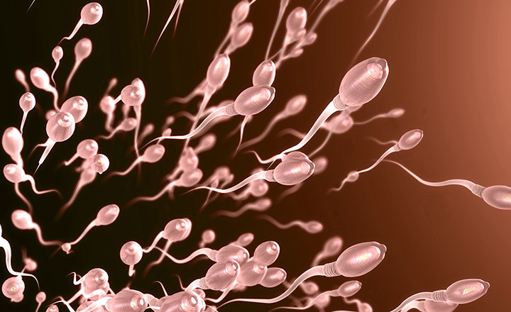 Como a covid-19 afeta a fertilidade masculina?