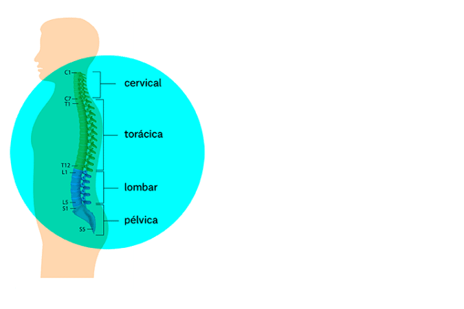 Dor Nas Costas Principais Causas E Como Aliviar Nav Dasa 0534