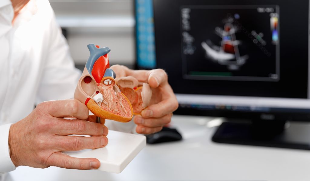 Amiloidose cardíaca: conheça as causas da doença