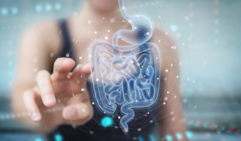 microbioma intestinal